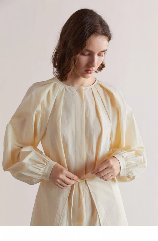 PLEATED SHIRT DRESS - 图片 6